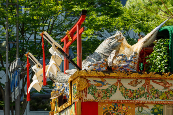 鯉山・後祭20250001